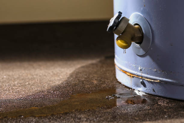Best Water damage cleanup near me  in Gypsum, CO