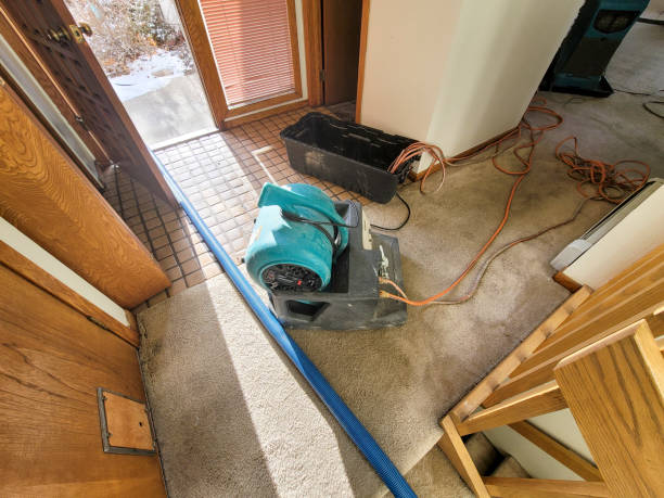 Best Water damage restoration near me  in Gypsum, CO