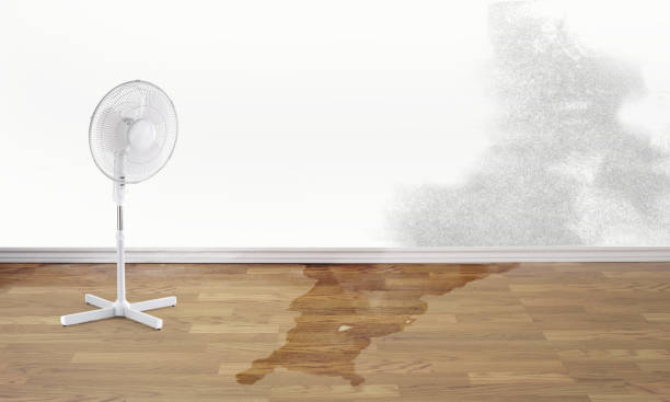 Best Local water damage restoration  in Gypsum, CO