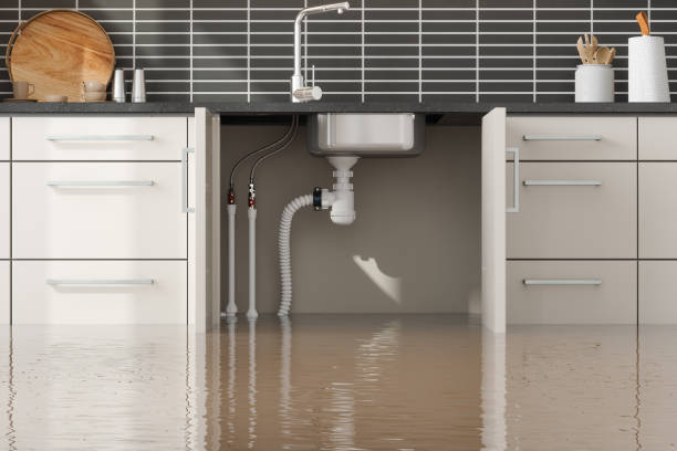 Best Emergency water extraction  in Gypsum, CO