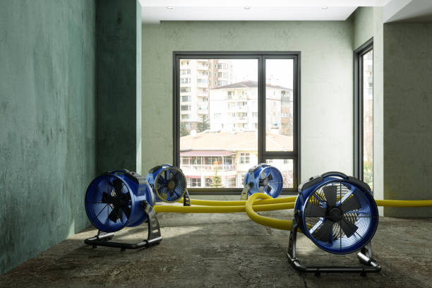 Best Emergency water damage restoration  in Gypsum, CO